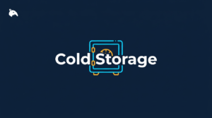 Snout0x article: Cold Storage