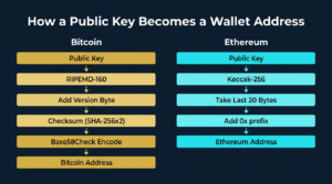 parallel step by step flow diagrams showing how a public key becomes a Bitcoin address through RIPEMD-160 checksum and Base58Check encoding on the left and an Ethereum address through Keccak-256 on the right