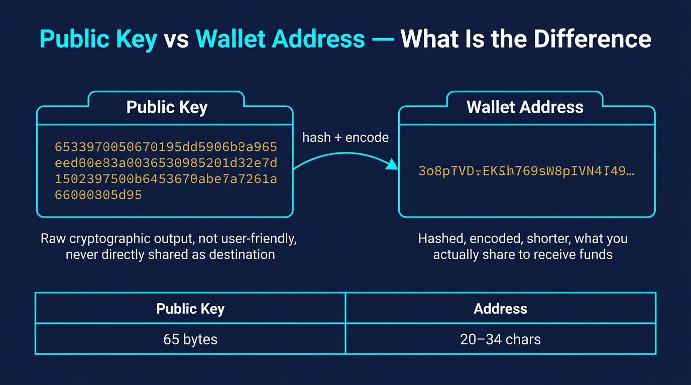 side by side comparison showing raw public key as 65 byte hexadecimal string versus wallet address as shorter base58 or hex encoded string with length comparison table below