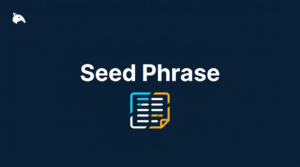 Snout0x article: Seed Phrase