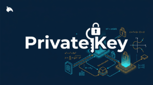 Snout0x article: What Is a Private Key