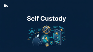 Snout0x article: What Is Self-Custody