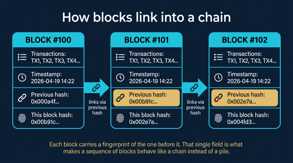 What Is Blockchain? How It Works Explained Simply