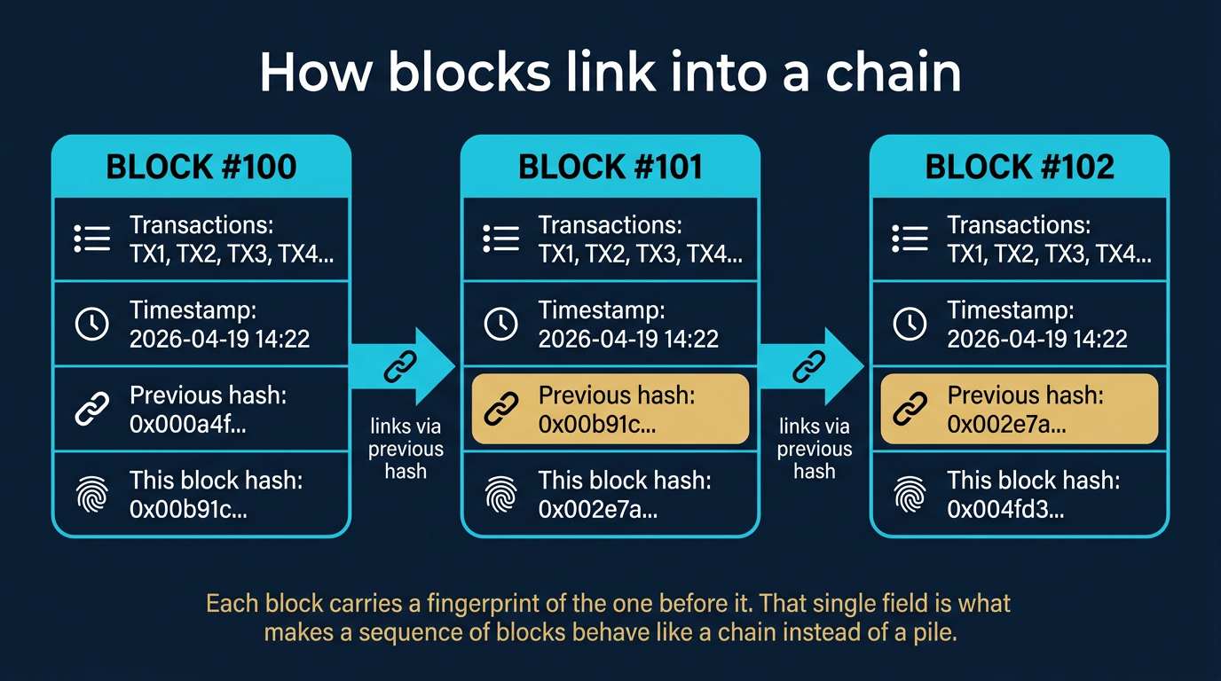 Horizontal blockchain anatomy diagram showing three sequential blocks labeled Block 100, Block 101, and Block 102, each rendered as an identical rounded rectangle containing four labeled rows: a list of transactions, a timestamp, a previous-block hash field, and a current-block hash field, with each block's previous-hash field highlighted in warm gold and visually matched by an arrow to the previous block's current-hash field, demonstrating how each block carries a fingerprint of the one before it to form a chain rather than an unordered pile