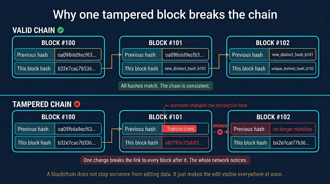 Two-row before-and-after blockchain tamper comparison illustration, with the top row showing a valid chain of three blocks where every previous-hash field matches the previous block's current-hash field and a green-tinted footer notes the chain is consistent, and the bottom row showing the same three blocks where someone changed one transaction inside Block 101 which forces its current-hash to change and breaks the link to Block 102 — shown by a broken red arrow with an X icon and the previous-hash field of Block 102 highlighted as no longer matches, with a red footer noting that one change breaks the link to every block after it and the whole network notices