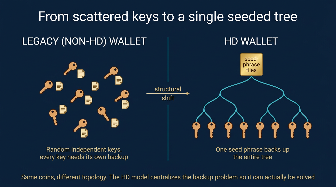 Side-by-side topology comparison showing a legacy non-HD wallet on the left as scattered random keys each with their own paper backup versus an HD wallet on the right showing a single seed phrase fanning out into a clean structured tree of keys with one unified backup