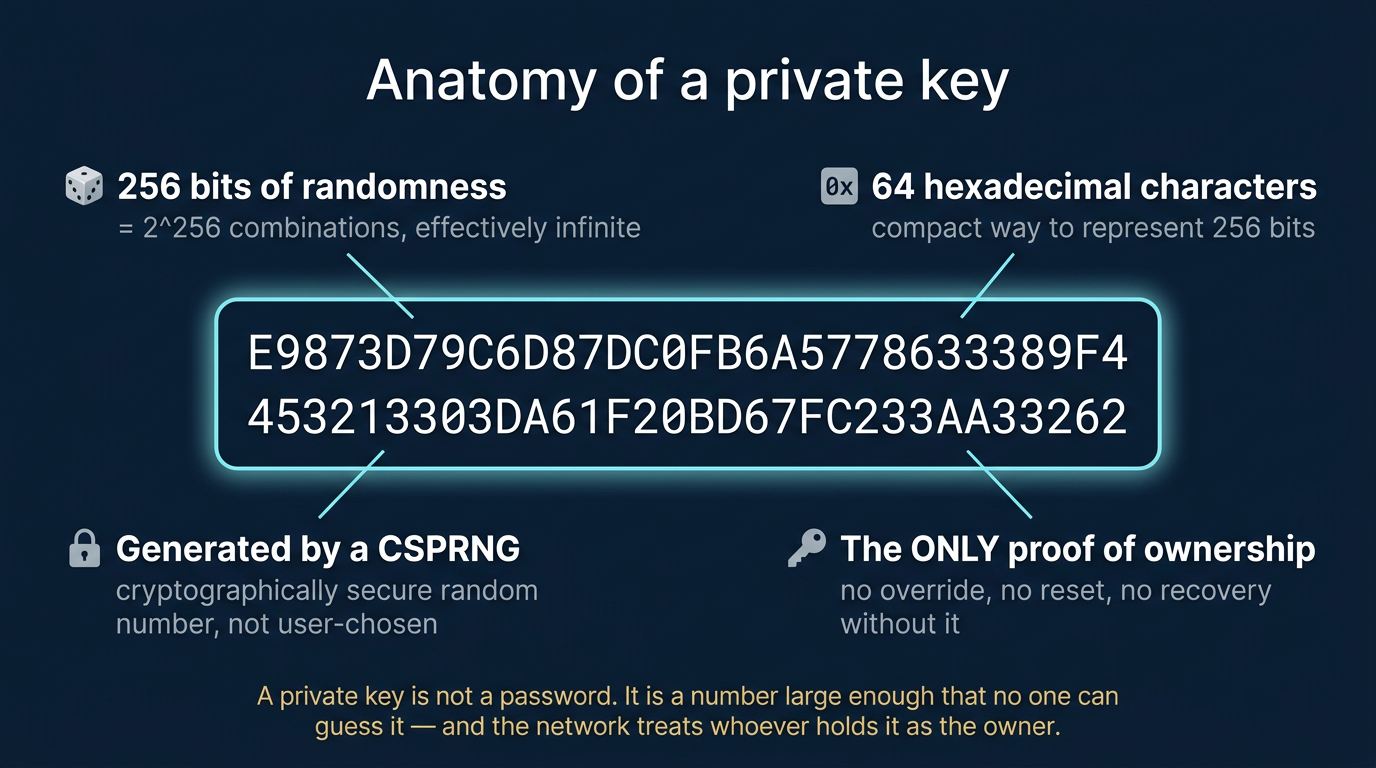 Concept anatomy diagram of a crypto private key showing an example sixty-four character hexadecimal string in the center surrounded by four labeled callouts explaining the four core properties: 256 bits of randomness equal to two to the power of 256 combinations, 64 hexadecimal characters as a compact representation of those 256 bits, generated by a cryptographically secure random number generator and never user-chosen, and the only proof of ownership with no override or reset or recovery without it