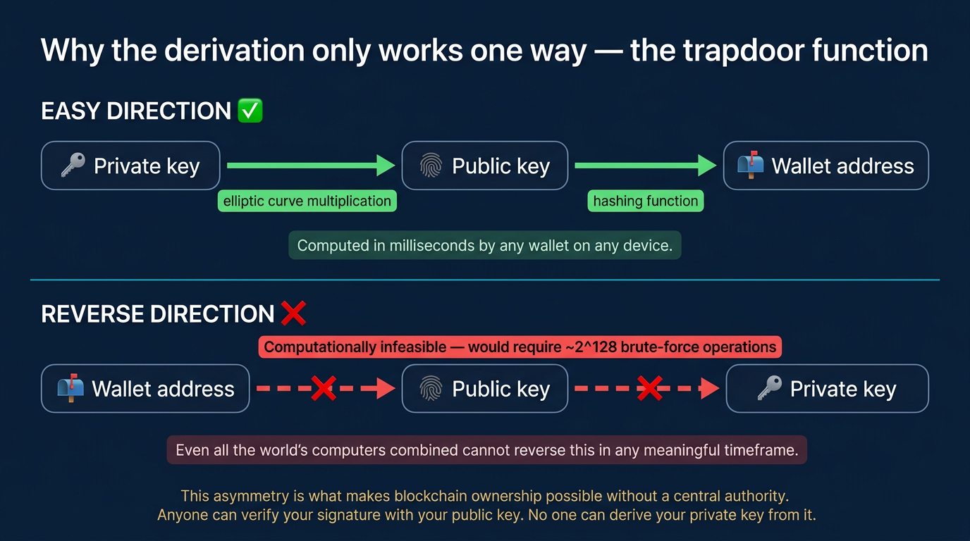 Two-row directional comparison illustration explaining the one-way trapdoor function in private key cryptography, with the top row showing the easy direction from private key to public key to wallet address connected by green arrows labeled elliptic curve multiplication and hashing function and noted as computed in milliseconds, and the bottom row showing the same three nodes in reverse order from wallet address back to private key connected by red broken arrows with a single red label spanning both gaps stating computationally infeasible would require approximately two to the power of 128 brute force operations