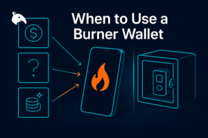 Editorial Snout0x hero showing three risky-scenario icons funneling into a burner phone wallet on the left, with a separated vault holding a hardware wallet on the right behind a glass divider.